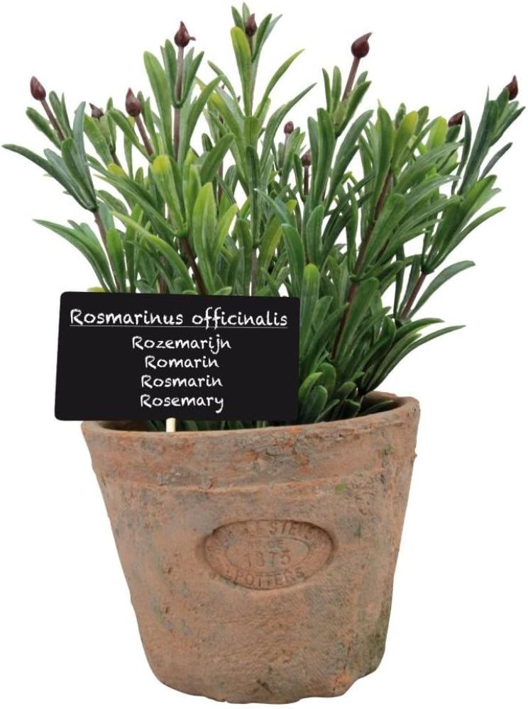 Esschert Design Kunststoffpflanze Rosmarin im Topf, Größe L, ca. 11 cm x 11 cm x 14 cm Bild 1