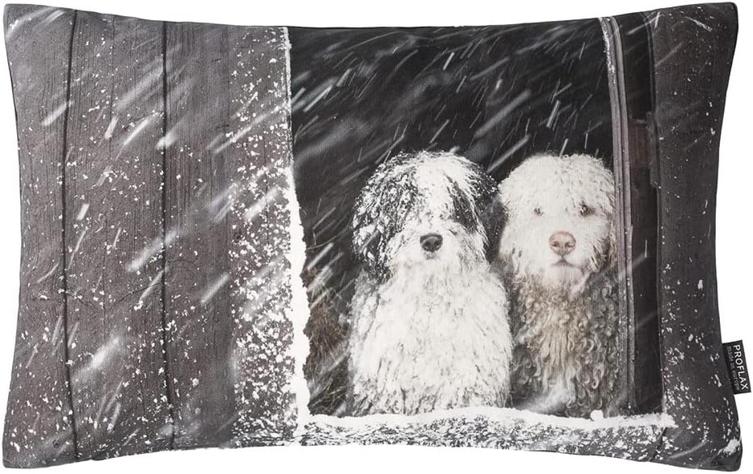PROFLAX Kissenhülle Twix. Motiv zwei Hunde schauen aus verschneitem Fenster. 30 x 50 cm Bild 1