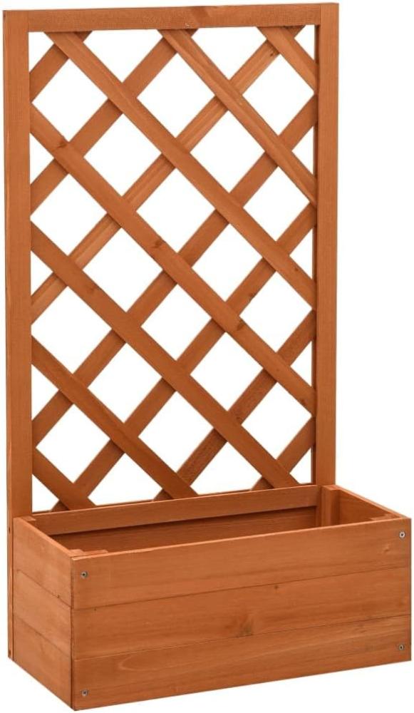 vidaXL Garten-Spalier mit Blumenkasten Orange 50x25x90 cm Tannenholz 314830 Bild 1