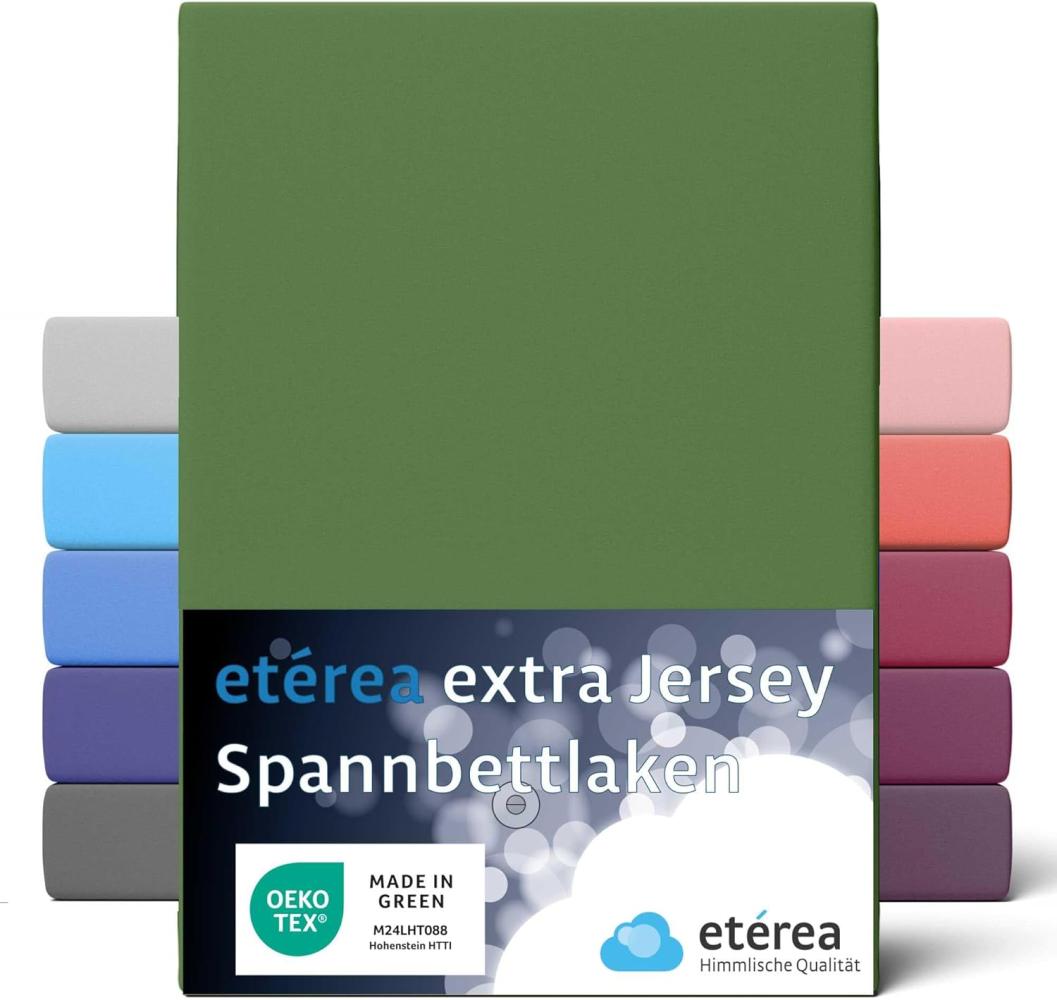 etérea Extra Jersey Spannbettlaken Kaktus 140x200 - 160x220 cm Bild 1