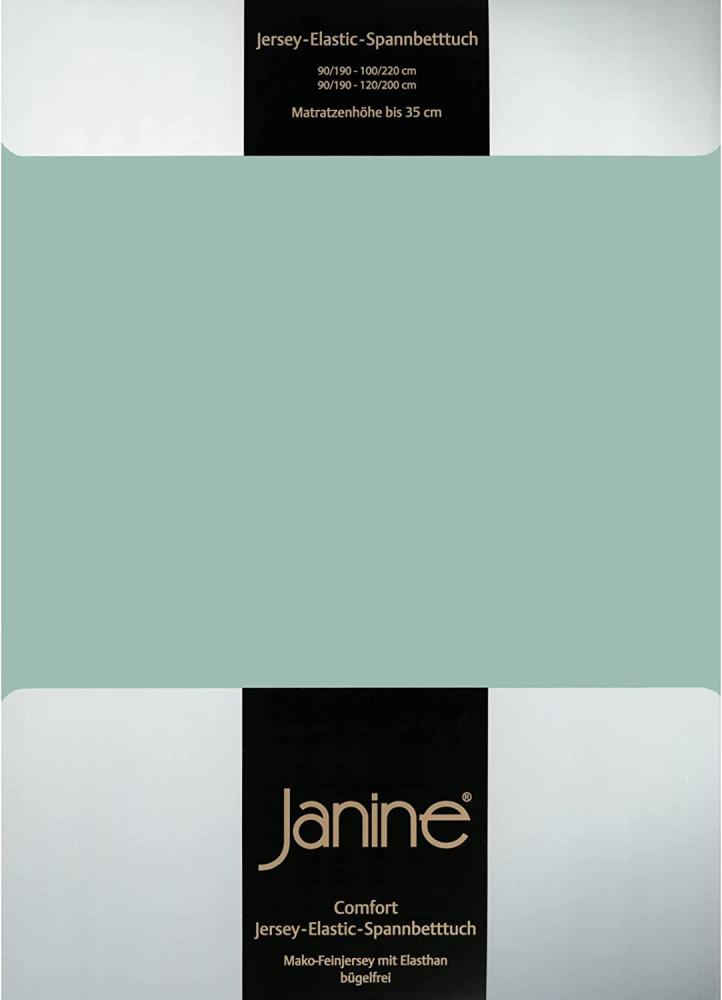 Janine Spannbetttuch ELASTIC-JERSEY Elastic-Jersey rauchgrün 5002-36 100x200 Bild 1