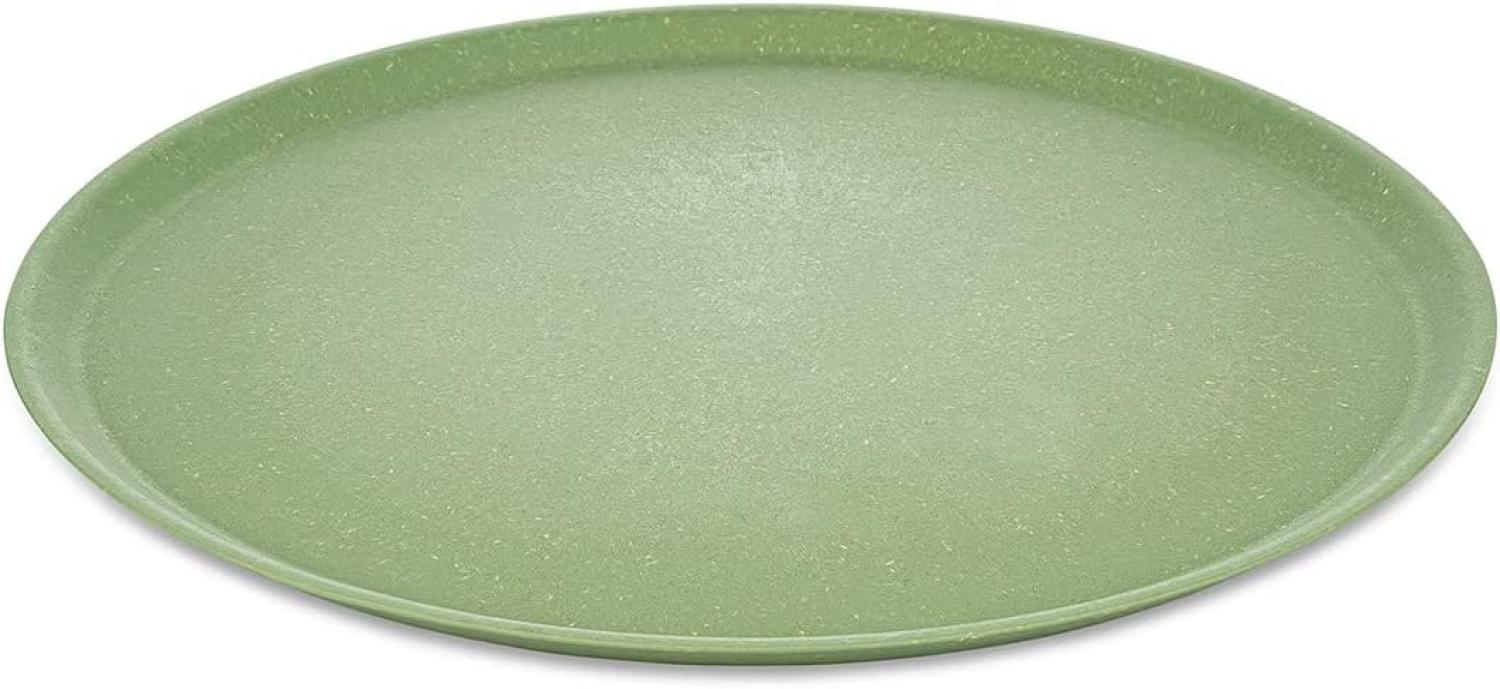 Koziol Großer Teller 4er-Set Connect Plate, Speiseteller, Kunststoff-Holz-Mix, Nature Leaf Green, 25. 5 cm, 7101703 Bild 1