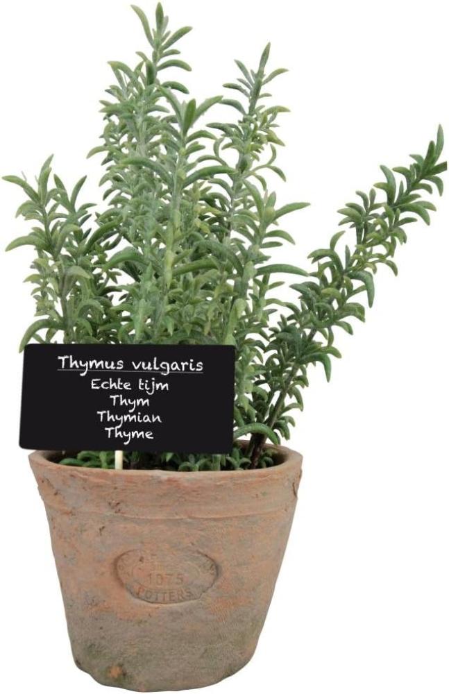Esschert Design Kunststoffpflanze Thymian im Topf, Größe L, ca. 11 cm x 11 cm x 19 cm Bild 1