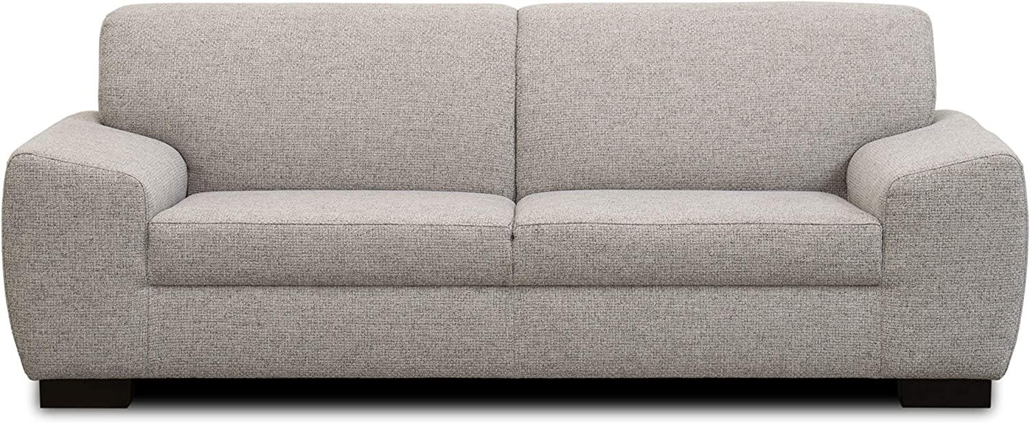 DOMO. collection Incanto Sofa | 2,5-Sitzer, hellgrau, 220x89x81 cm Bild 1