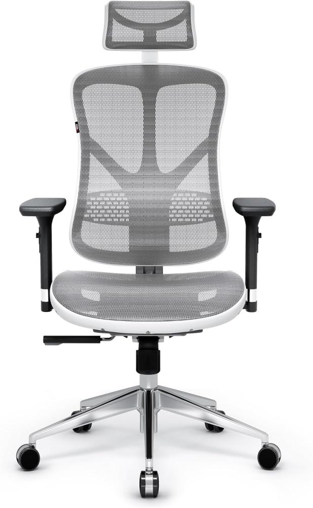 Diablo V-Basic Ergonomischer Stuhl Bürostuhl Schreibtischstuhl Chefsessel 3D Armlehnen Verstellbare Rückenlehne Kopfstütze Wippfunktion Netzstoff (weiß/grau) Bild 1