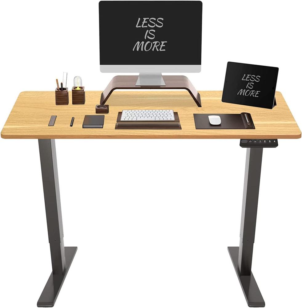 Flexispot Hemera Höhenverstellbarer Schreibtisch (120 x 60 cm), mit Memory-Steuerung und Softstart/-Stop& integriertes Anti-Kollisionssystem, grau Gestell + Bambus Tischplatte Bild 1