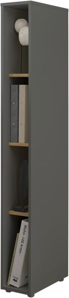 Aktenregal Center in grau matt und Eiche Wotan 20 x 158 cm Bild 1