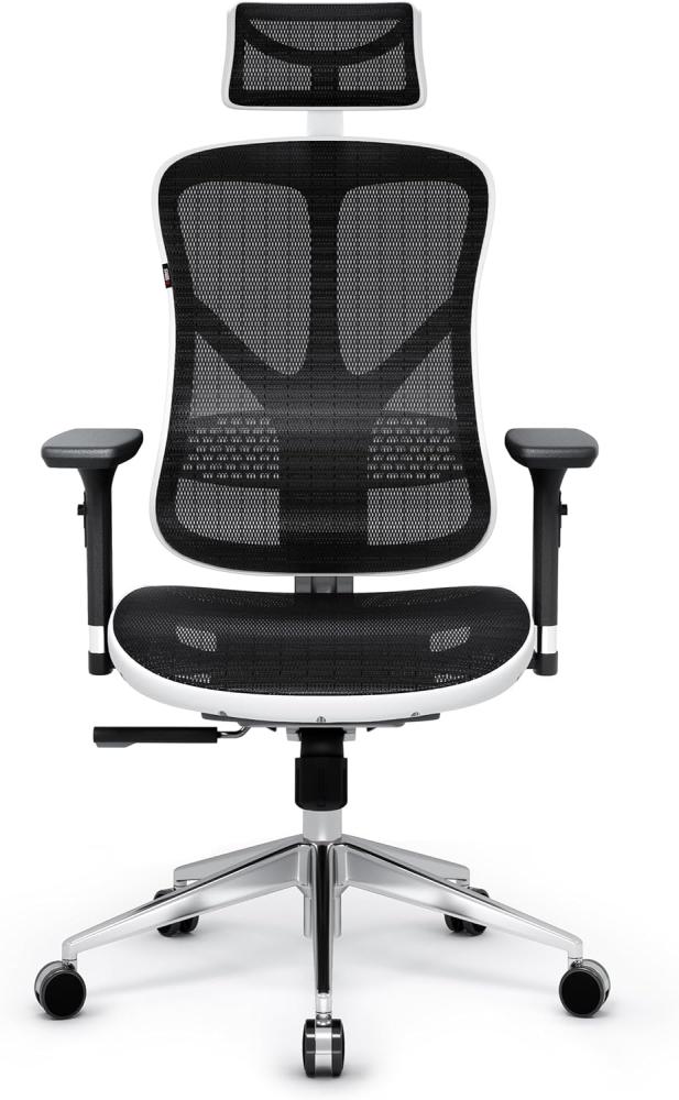 Diablo V-Basic Ergonomischer Stuhl Bürostuhl Schreibtischstuhl Chefsessel 3D Armlehnen Verstellbare Rückenlehne Kopfstütze Wippfunktion Netzstoff (weiß/schwarz) Bild 1