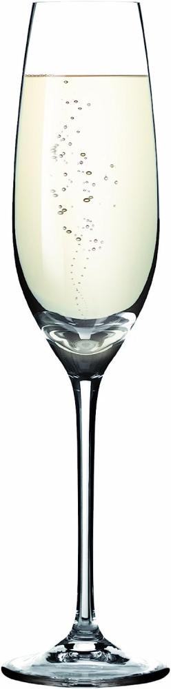 Tescoma Champagnergläser, transparent, 25 cm Bild 1