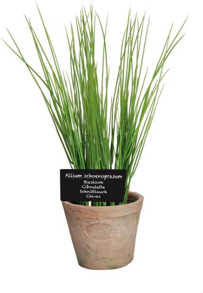 Esschert Design Kunststoffpflanze Schnittlauch im Topf, Größe L, ca. 11 cm x 11 cm x 19 cm Bild 1
