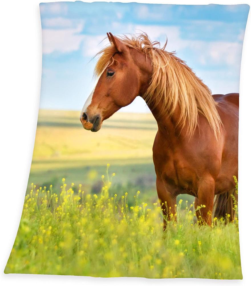 Fleecedecke für Pferde - 130 x 160 cm Bild 1