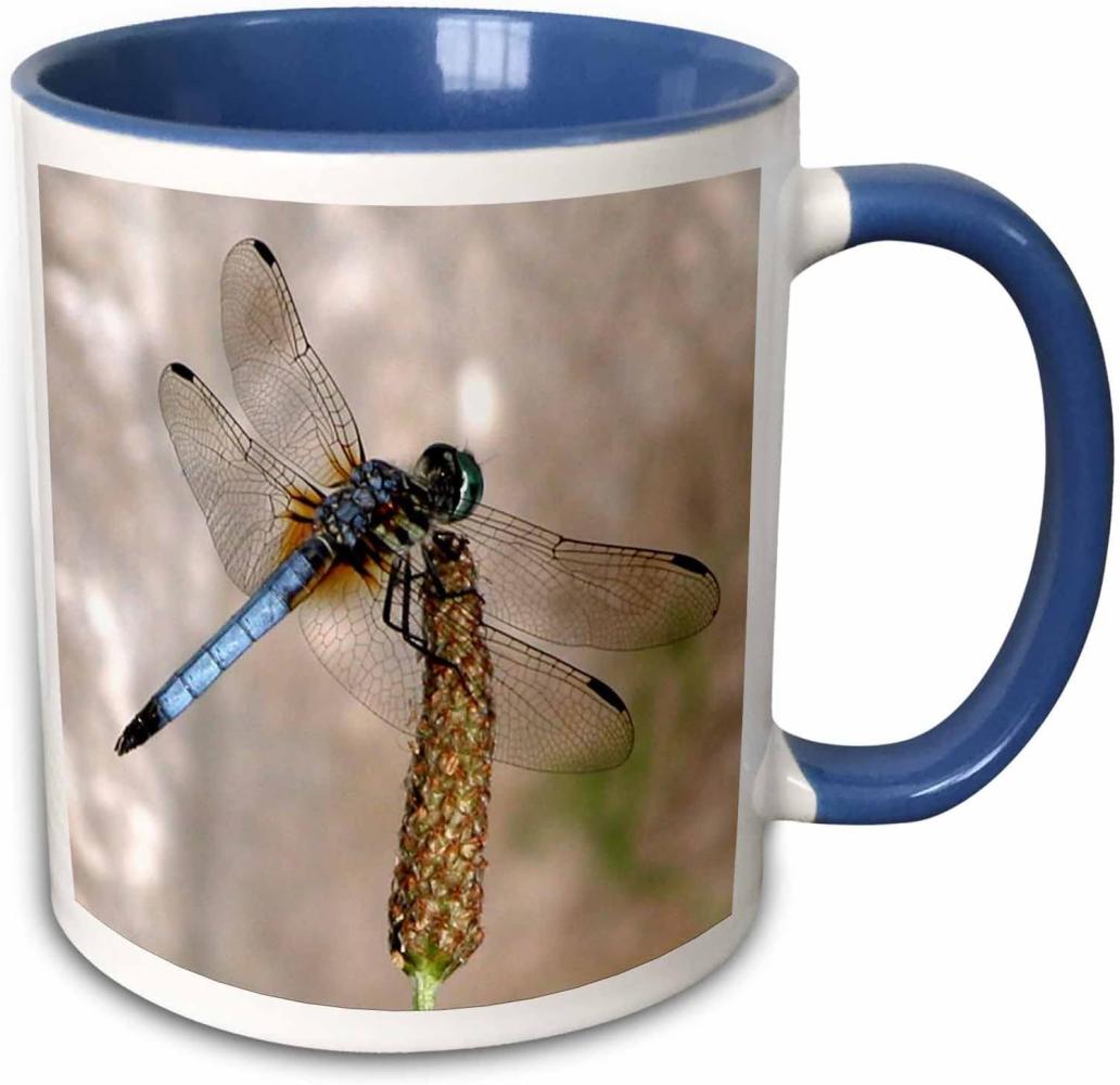 3dRose Dragonfly-Two Becher aus Keramik, Mehrfarbig, 10,16 x 7,62 x 9,52 cm, Blau Bild 1