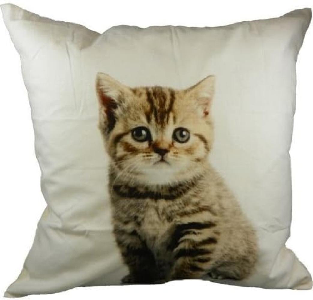 Kissen Kissenbezug Katze Katzenbaby 50x50cm mit Füllung Bild 1