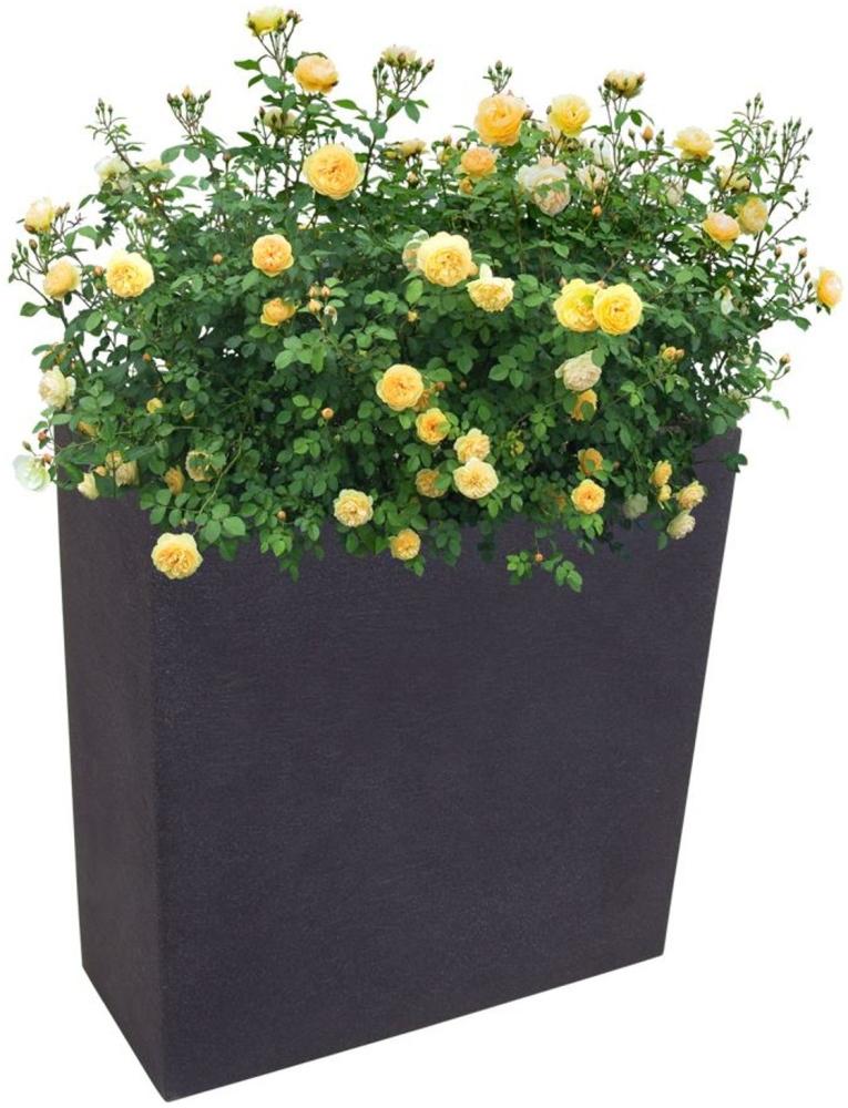 Pflanzkasten anthrazit Blumenkasten Hochbeet Terrasse Sichtschutz 59,5x26,5cm Bild 1