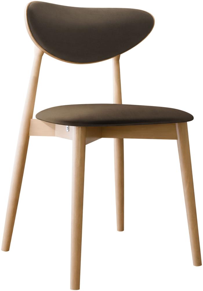 Esszimmerstuhl Bretoka C, Stuhl aus Buchenholz für Küche, Restaurant (Buche / Magic Velvet 2205) Bild 1