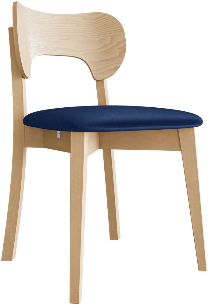 Esszimmerstuhl Gamirut, Stuhl aus Buchenholz für Küche, Restaurant (Buche / Magic Velvet 2216) Bild 1