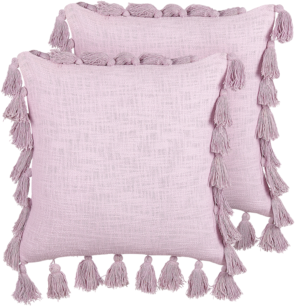 Kissen 2er Set Baumwolle Rosa LYNCHIS 45 x 45 cm Bild 1