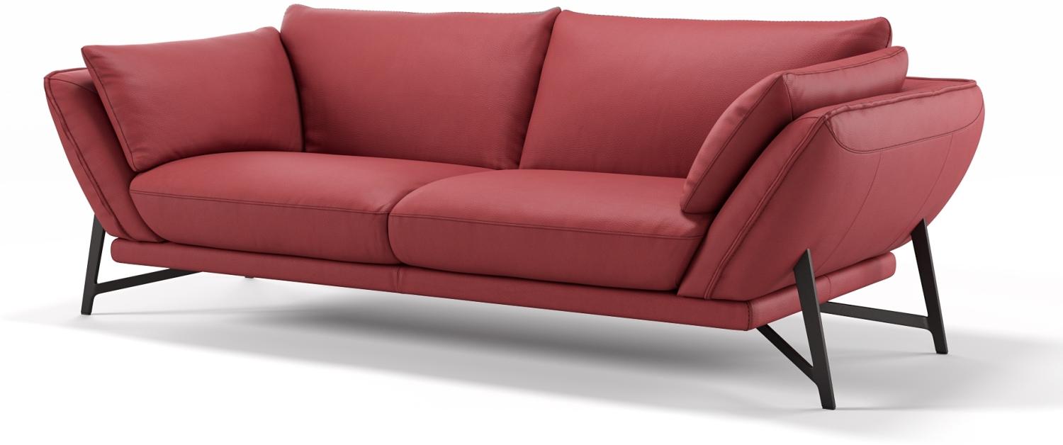 Sofanella 3-Sitzer ESTELLA Ledersofa italienisch Ledercouch in Rot S: 210 Breite x 99 Tiefe Bild 1