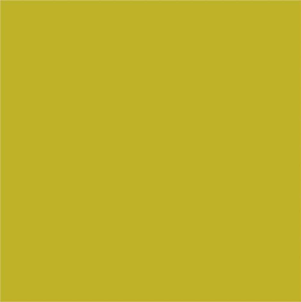 Kneer Edel-Zwirn-Jersey Spannbetttuch für Matratzen bis 22 cm Höhe Qualität 20 Farbe lindgrün 140-160x200 cm Bild 1