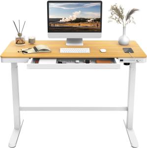 Flexipot Elektrisch Höhenverstellbarer Schreibtisch mit Touch Funktion & USB, Elektrischer Schreibtisch, Glas Tischplatte