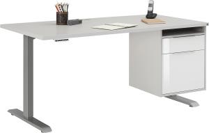 Schreibtisch >EDJUST< (BxHxT: 150x120x80 cm) in Metall platingrau - platingrau