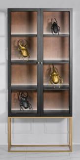 Casa Padrino Luxus Glas Vitrine Schwarz / Messing Gold 200 x 90 cm - Luxus Boutique Vitrinenschrank - Neoklassisch