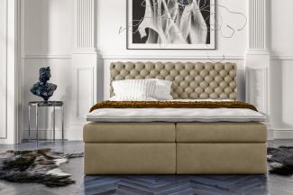 Stylefy 'Alviero' Boxspringbett Velours Jasmine Creme 200 x 200 cm