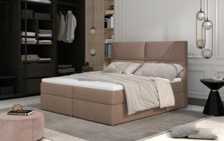 Amber 165x210, Boxspring Bett, Braun