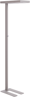 Stehlampe LED Metall silber 197 cm rechteckig TAURUS