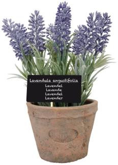 6 Stück Esschert Design Kunststoffpflanze Lavendel im Topf, Größe L, ca. 11 cm x 11 cm cm x 22 cm