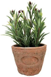 3 Stück Esschert Design Kunststoffpflanze Rosmarin im Topf, Größe S, ca. 8,6 cm 8,6 cm x 17 cm