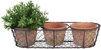 3 Aged Terracotta Blumentöpfe im Drahtkorb