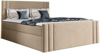 Boxspringbett Harlon (Amor Velvet 4304, Größe: 160x200 cm)