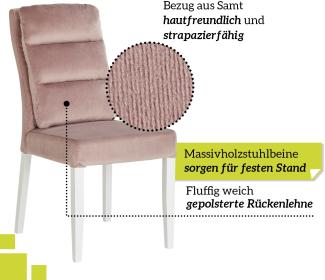 smart 6er Set Esszimmerstühle Bezug aus Samt rosa, weich gepolstert - Stuhlbeine aus Massivholz Buche lackiert - Küchenstuhl, Wohnzimmerstuhl, Polsterstuhl mit Schaumstoffpolsterung