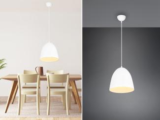 meineWunschleuchte LED Pendelleuchte, Dimmfunktion, LED wechselbar, warmweiß, klein-e Lampe übern Esstisch & Kochinsel Weiß Deisgn-klassiker, Ø25cm