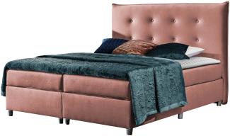 Mirjan24 Boxspringbett Amancio, Rosa 160 x 200 cm Welwet