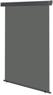 Senkrechtmarkise ausziehbar Seitenmarkise Windschutz Balkonmarkise Sichtschutz 100x250cm - Grau