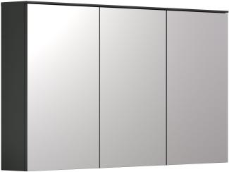 Badezimmer Spiegelschrank Synnax in grau 120 cm