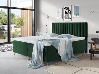 Boxspringbett Nerpa, Farbe: Fresh 13