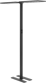 Stehlampe LED schwarz 2-flammig 196 cm rechteckig SCULPTOR
