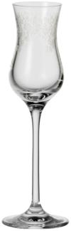 Leonardo Chateau Grappaglas 6er Set, Schnapsglas, Aperitifglas, Edles Glas mit Gravur, 80 ml, 35298