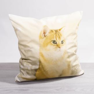 Kissen Deko beige Katze im Schnee 40x40 Polyester kissenbezug Dekokissen