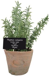 12 Stück Esschert Design Kunststoffpflanze Thymian im Topf, Größe L, ca. 11 cm x 11 cm x 19 cm