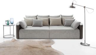 2-Sitzer Sofa Schlafsofa Couch Schlaffunktion Bettkasten beigegrau grau