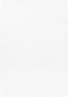 Hochflor Teppich Pia Läufer - 60x110 cm - Weiß