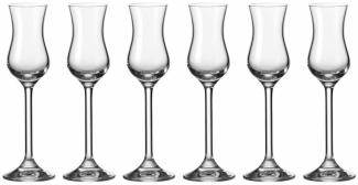 Leonardo Daily Grappaglas, 6er Set, Schnapsglas, Aperitifglas, Glas, 80 ml, 35237