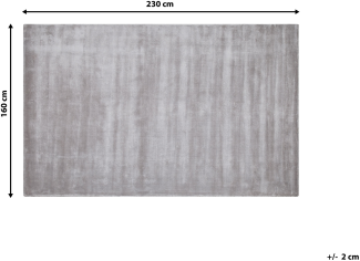 Teppich Viskose hellgrau 160 x 230 cm GESI II