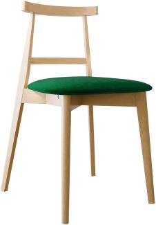Esszimmerstuhl Hazren, Stuhl aus Buchenholz für Küche, Restaurant (Buche / Magic Velvet 2225)