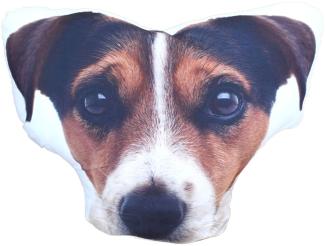 Jack Russell Terrier Kopf Kissen Kuschelkissen Motiv fotorealistisch 47cm Hund