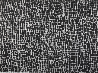 Teppich schwarz weiß 300 x 400 cm abstraktes Muster Kurzflor PUNGE